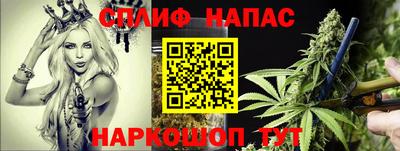 ПСИЛОЦИБИНОВЫЕ ГРИБЫ Гагарин
