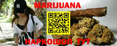 гидропоника Гай