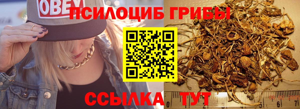Галлюциногенные грибы ЛСД  Вход с VPN  Псилоцибиновые грибы Psilocybe  Кулебаки 